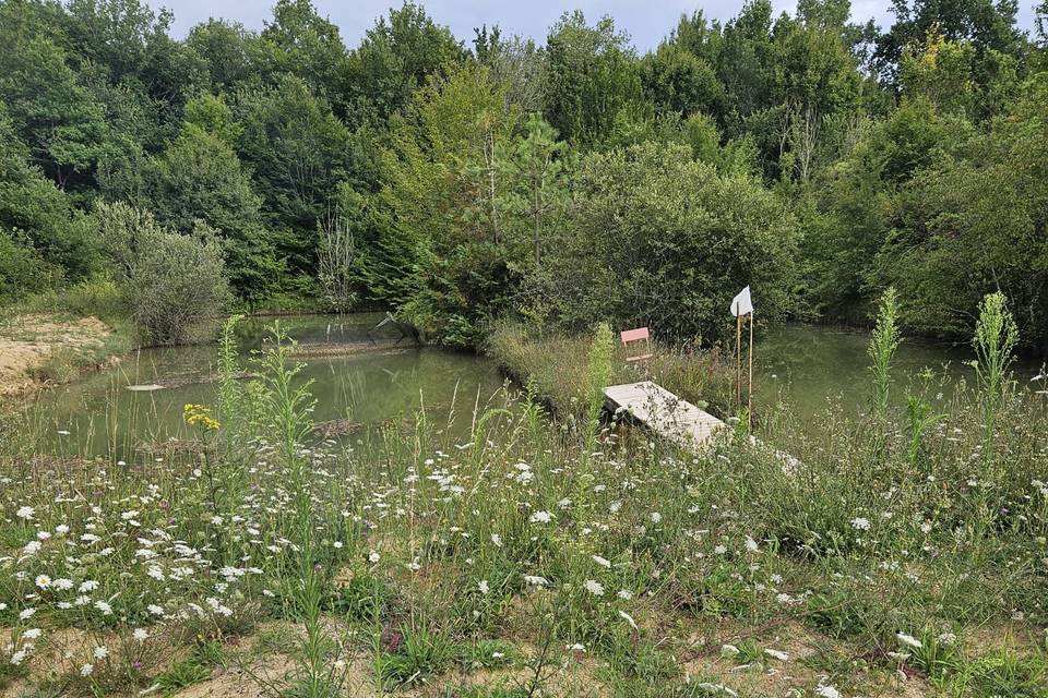 L'étang