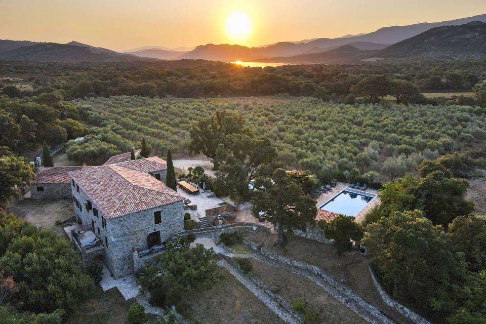 Domaine