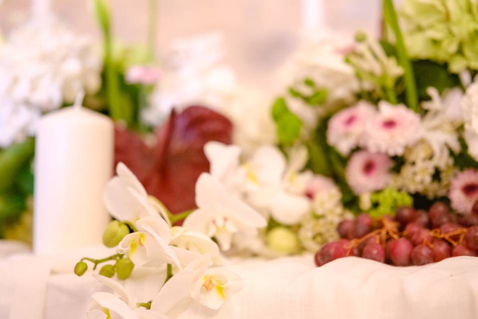 Orchidée