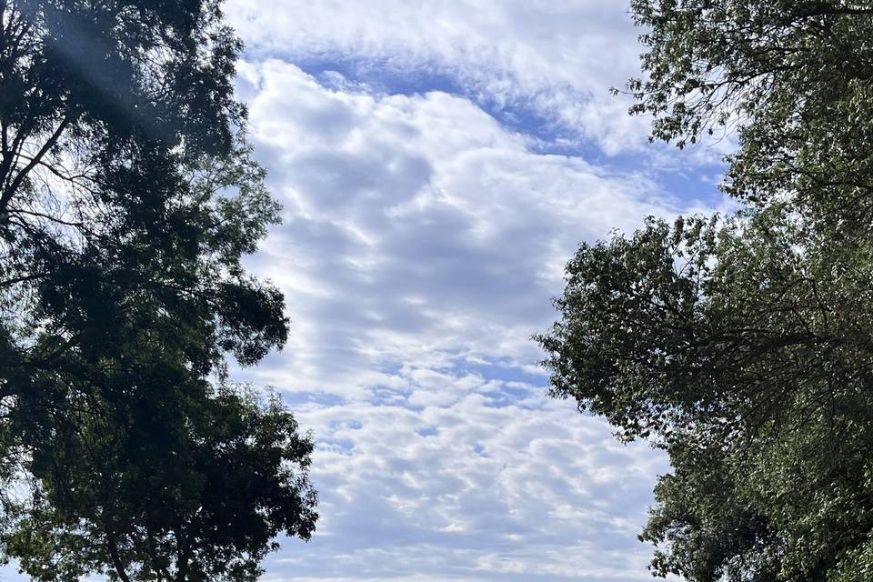 Cérémonie vue de la salle