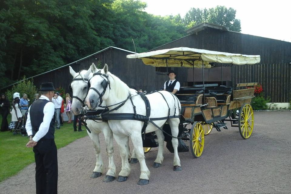 Musée Sacy le Grand