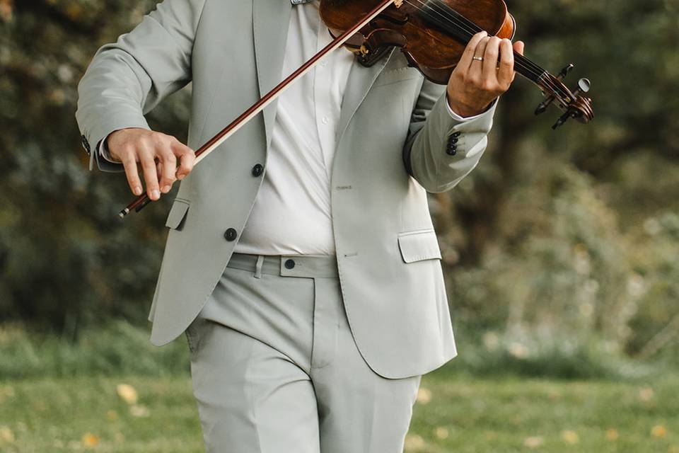 Violon