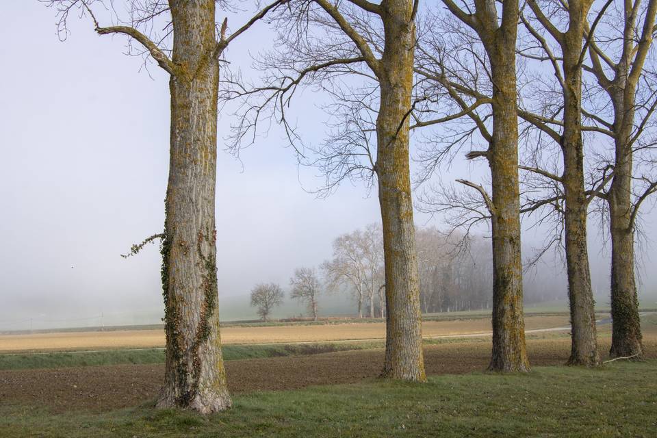 Parc