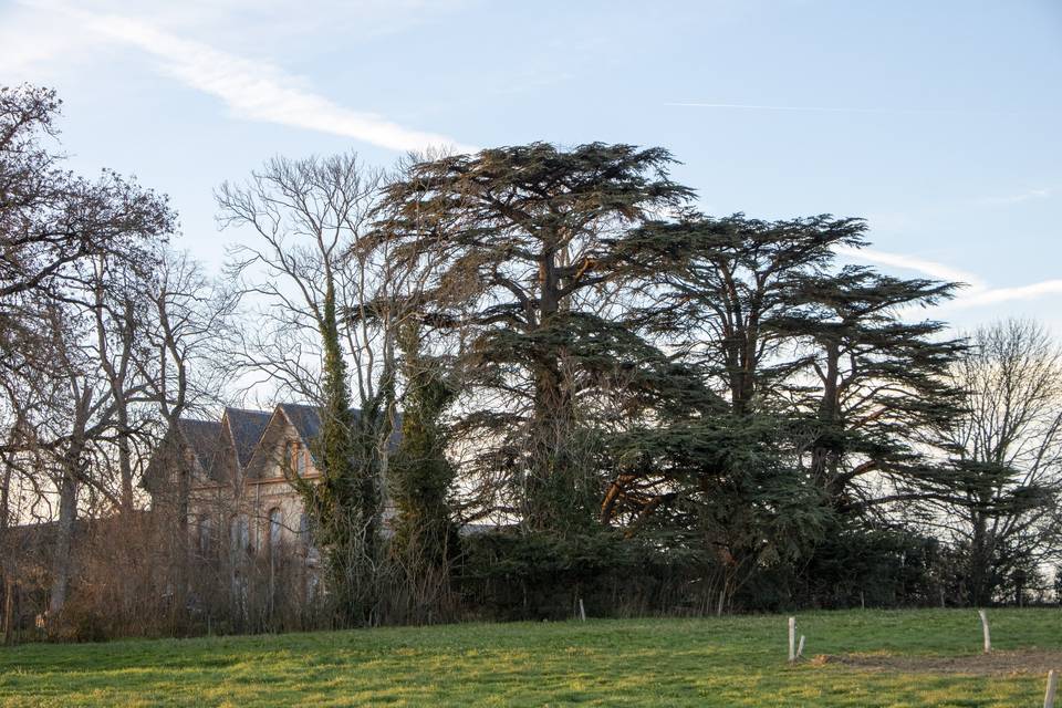 Parc