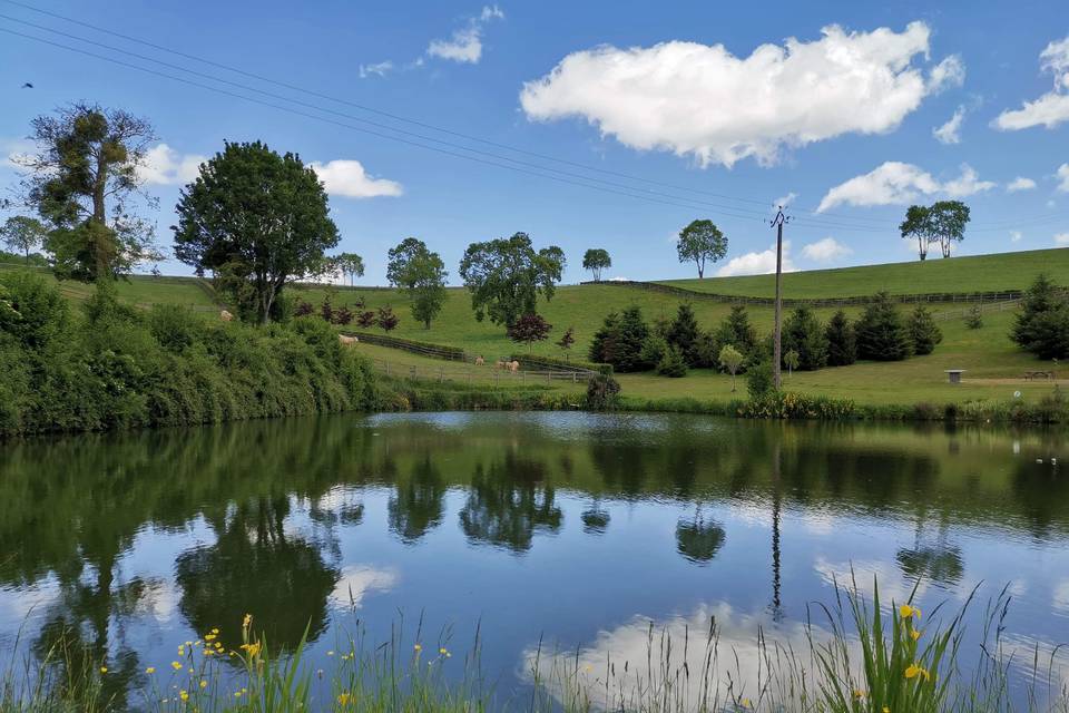 Etangs