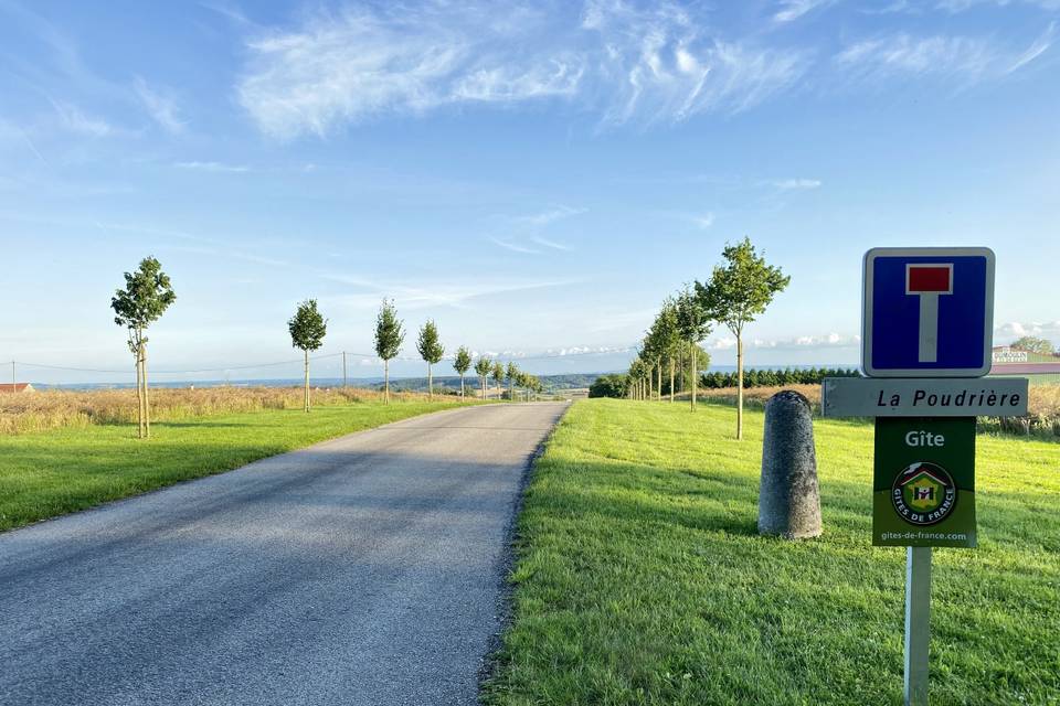 Chemin entrée domaine