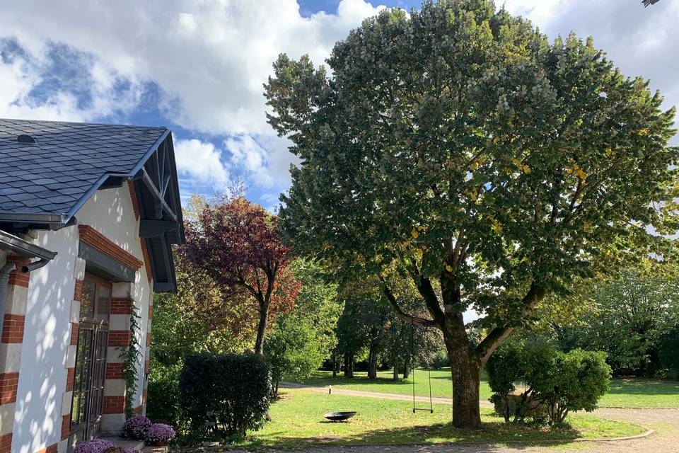 Arbre à Balançoire