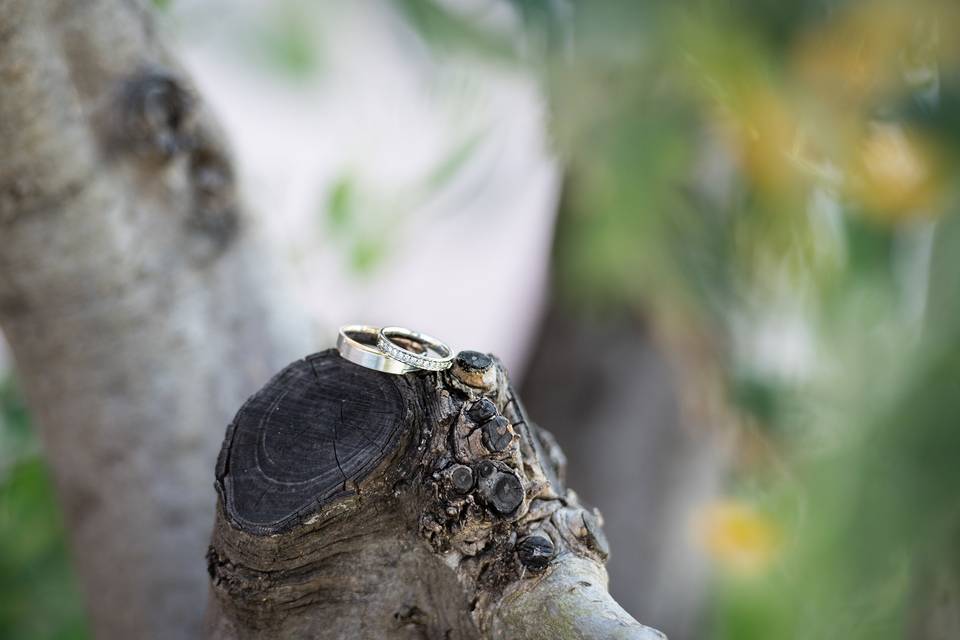 Photographe mariage Aude