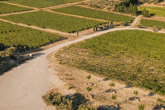 Chemin du Domaine