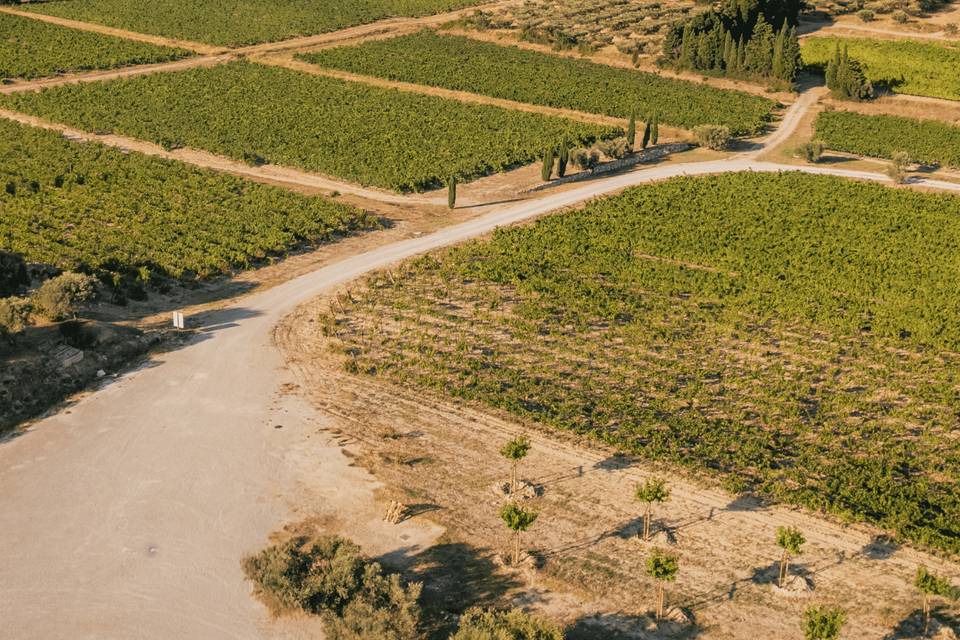 Chemin du Domaine