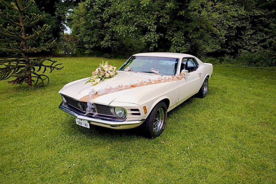 Next Drive