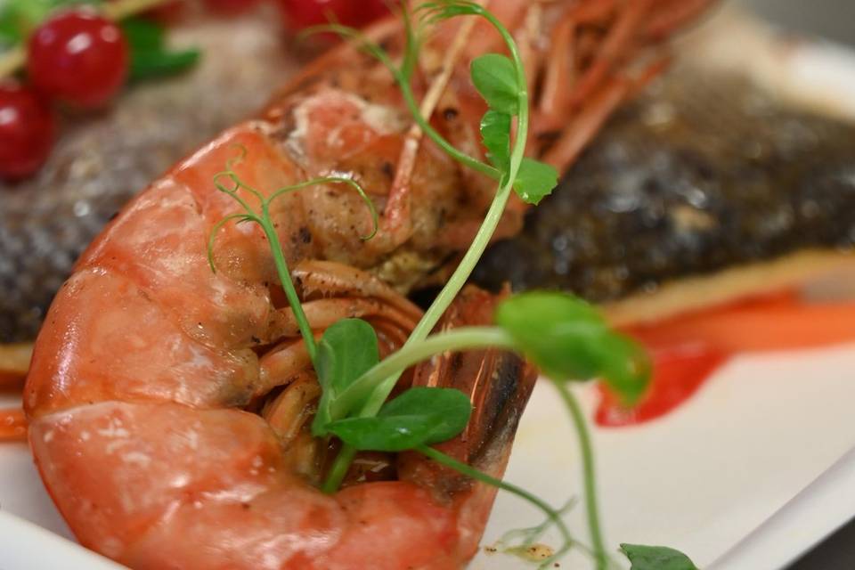 Assiette traiteur