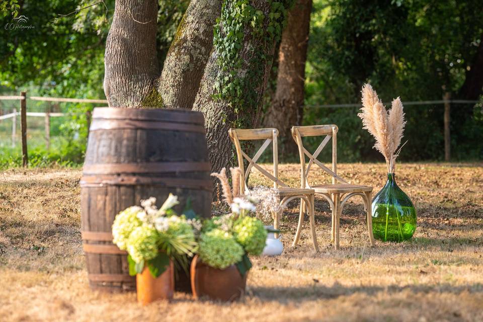 Jardin
