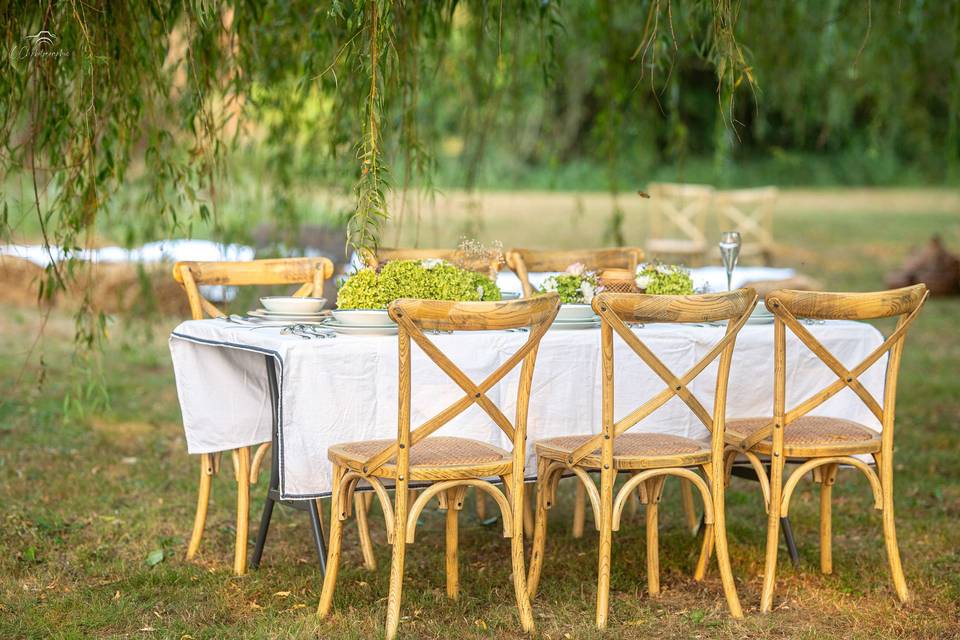 Jardin