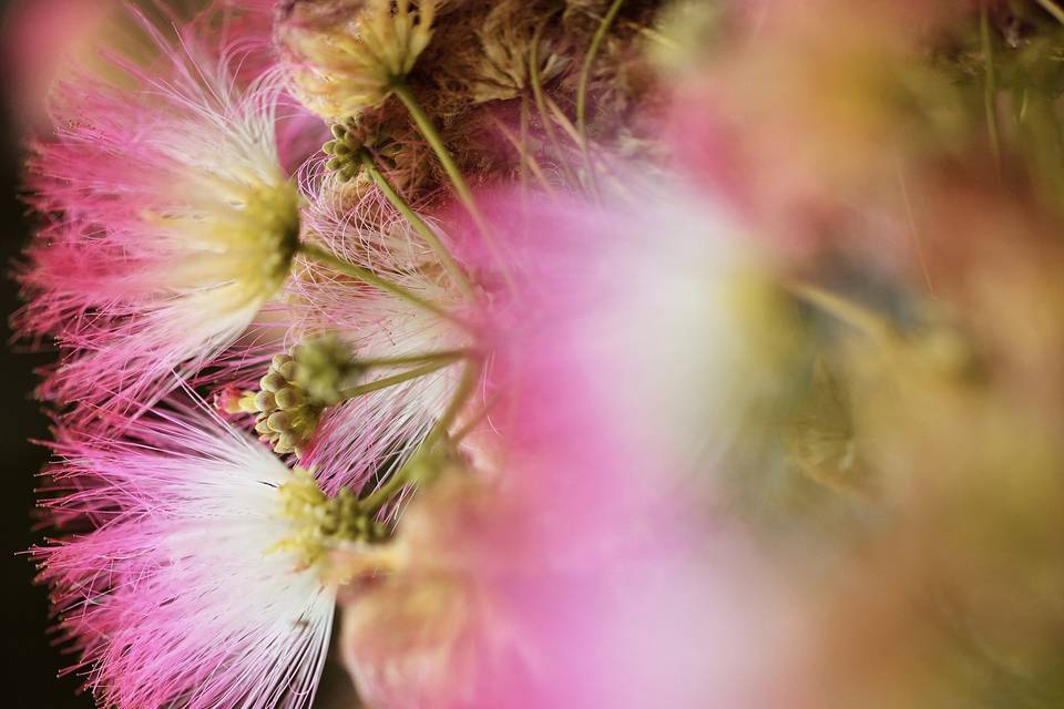 Le bouquet