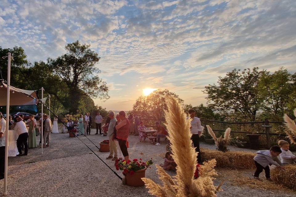 Vue terrasse