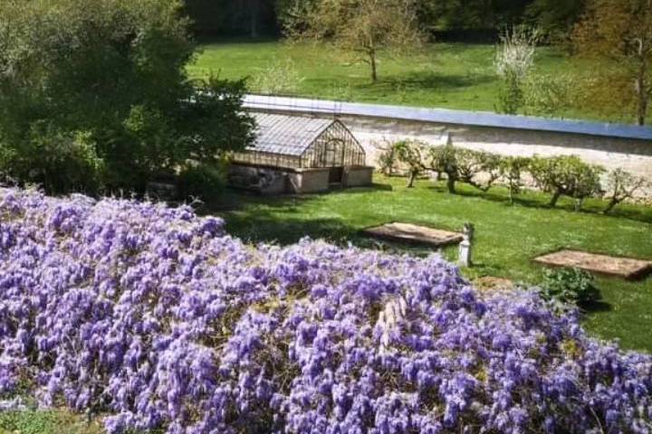 Tonnelle de Glycine