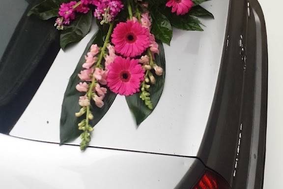 Capot voiture