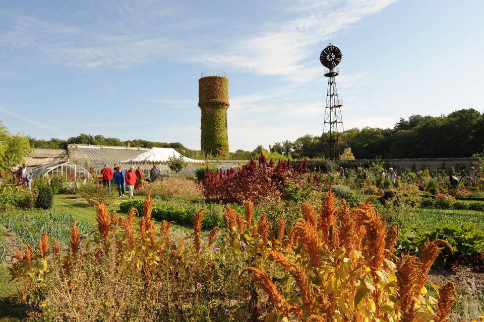 Jardin potager