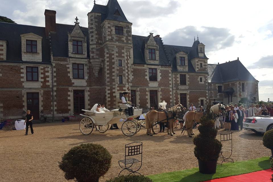 Château de Jallanges - Vouvray