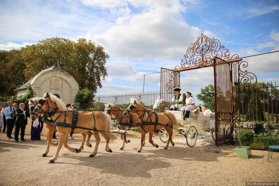 Arrivée des mariés en calèche