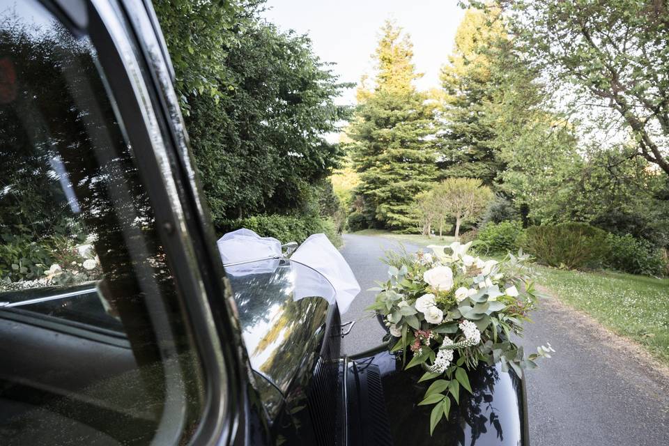 Citroen Traction 11B fleur