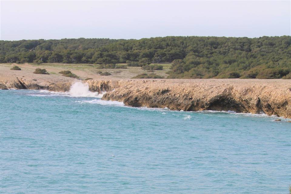 Au bord de la falaise