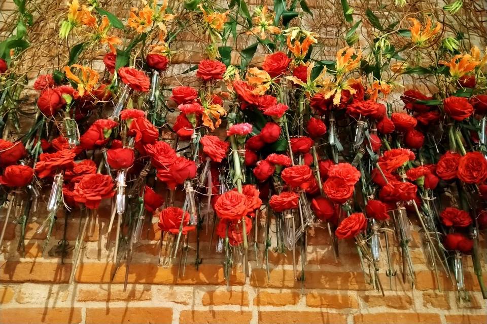Mur véritable roses rouges