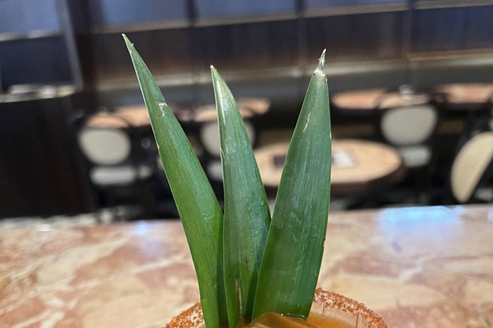 Regal Margarita