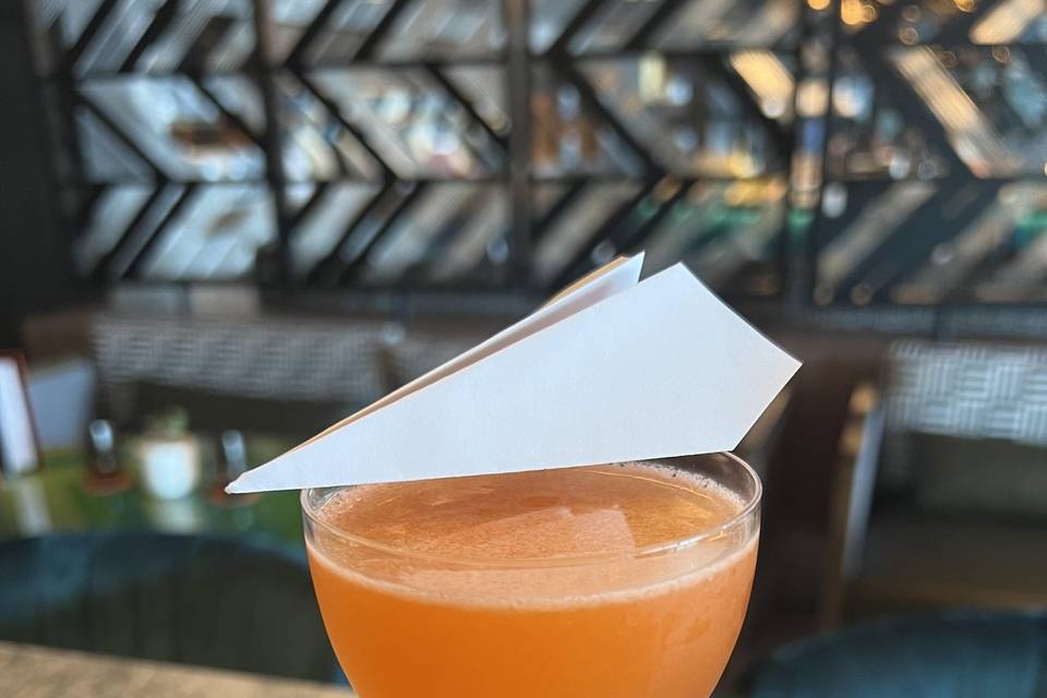 Paper Plane