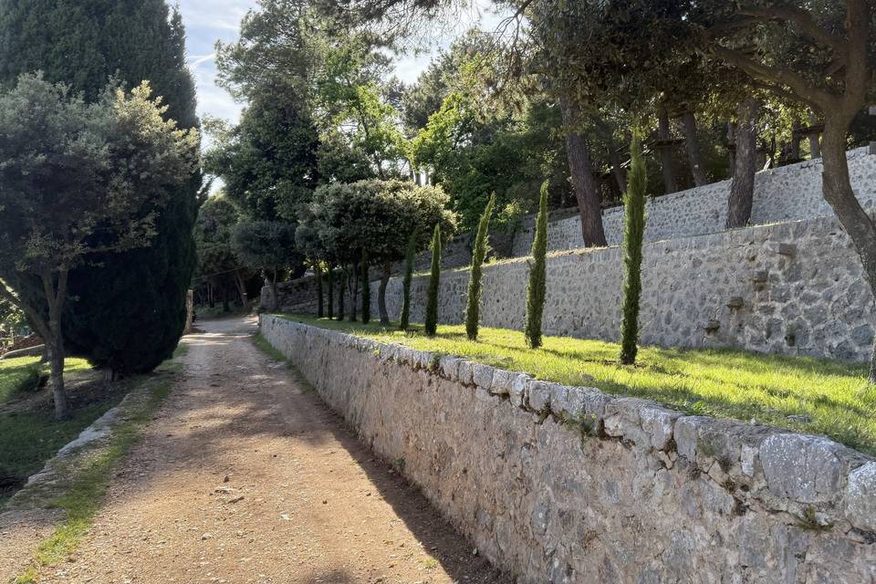 Allée