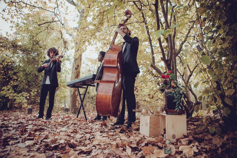 Groupe de musique