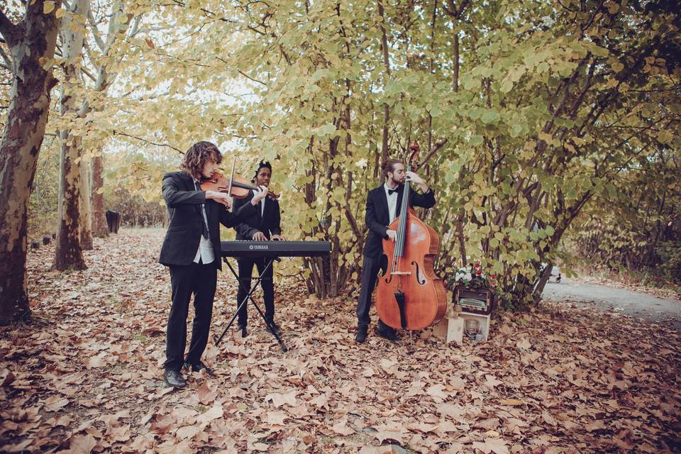 Groupe de musique