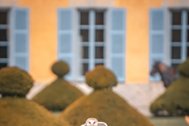 Mariage