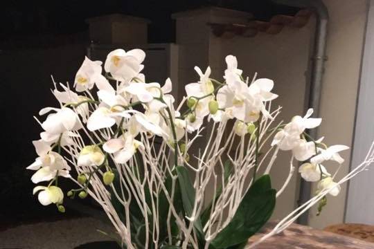 Compo orchidées