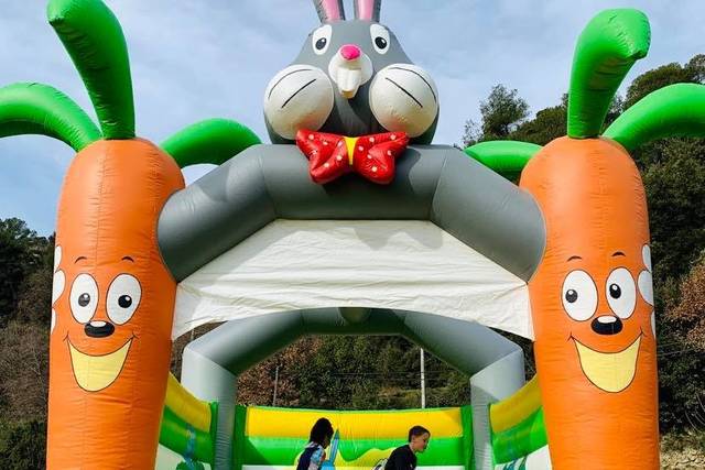 Lapin Carottes