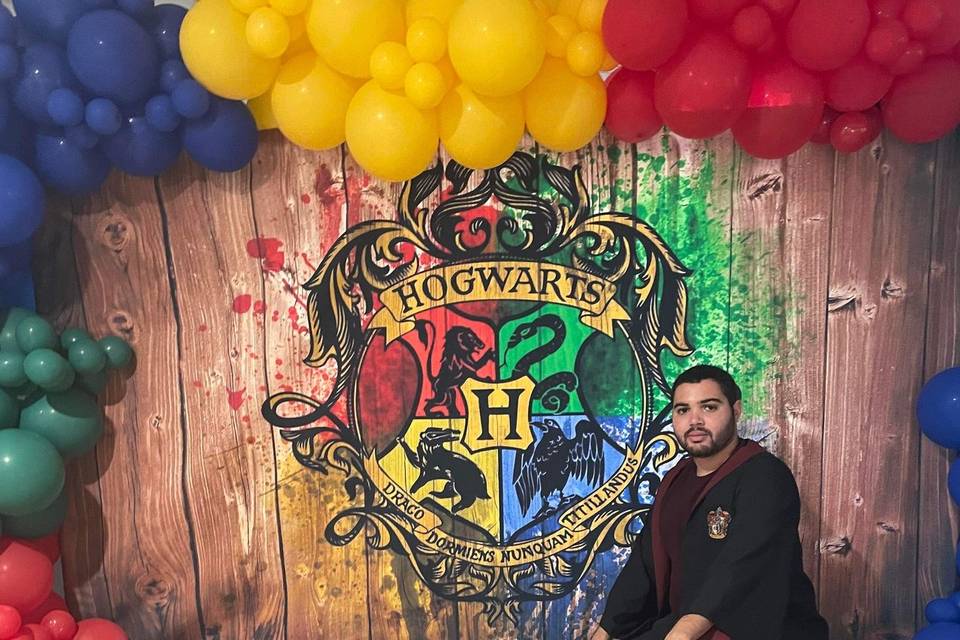 Anniversaire harry potter