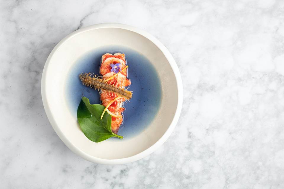 Homard - Jus iodé