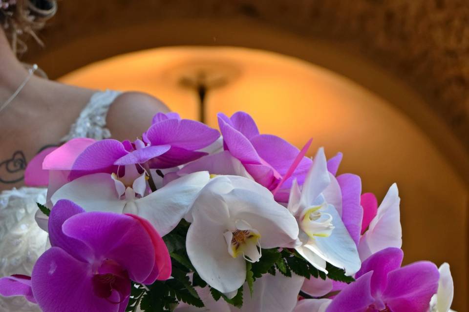 Un bouquet d'Orchidées.