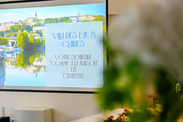Grand écran, vidéo projecteur