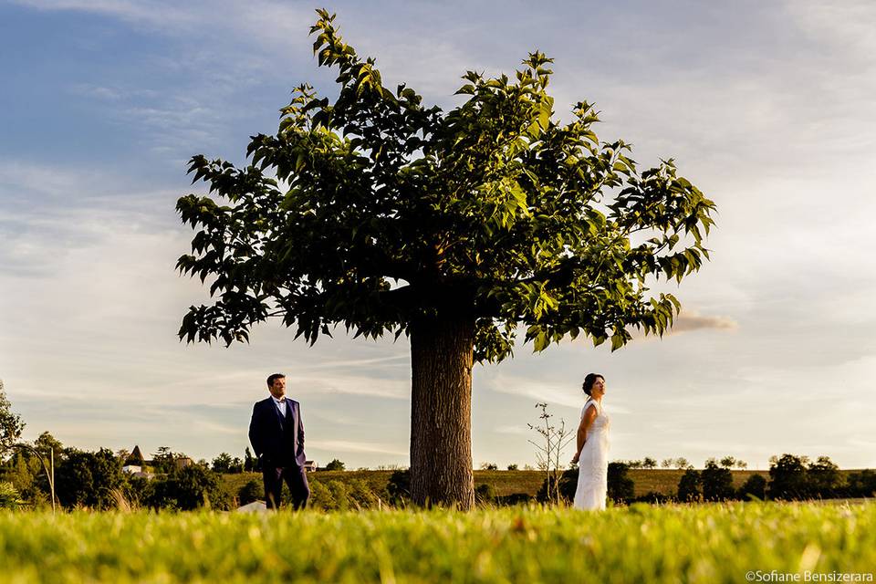 Photo soirée mariage toulouse