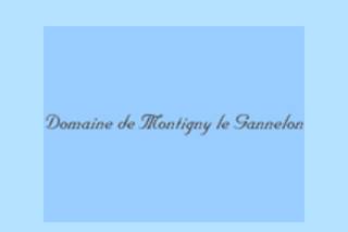 Domaine de Montigny le Gannelon
