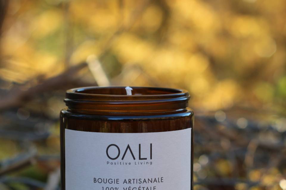 Bougie Parfum des bois