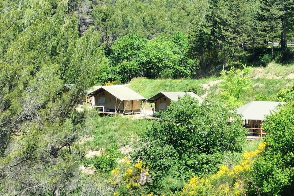 Lodges