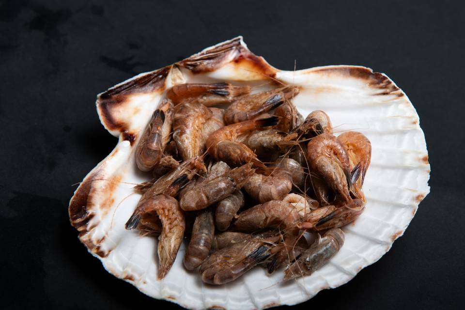 Crevettes grises