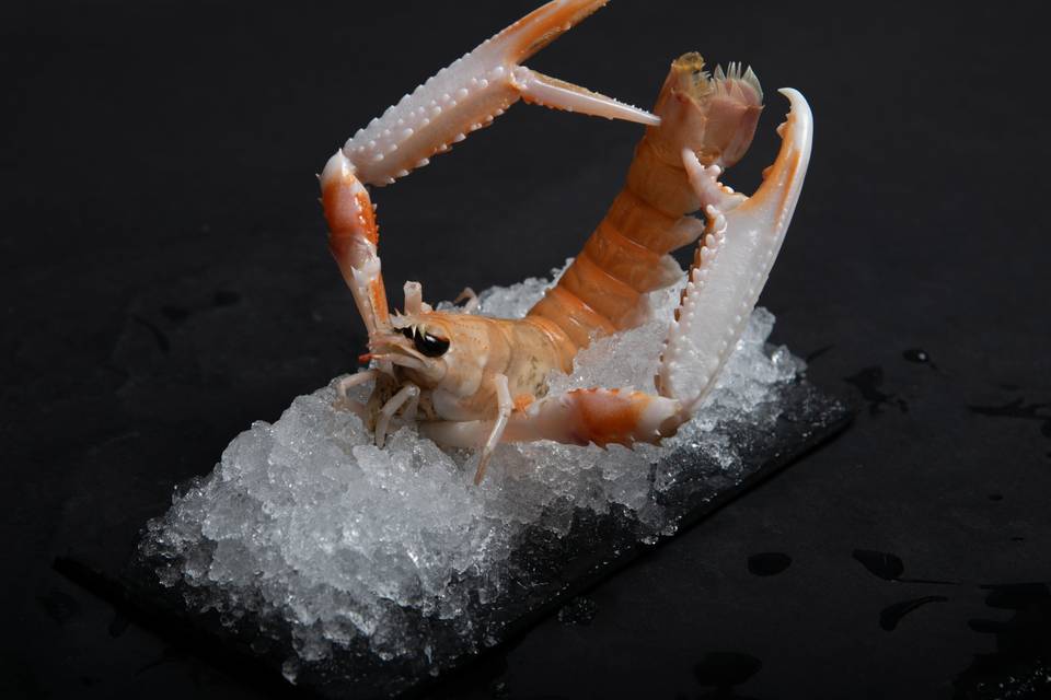 Langoustine