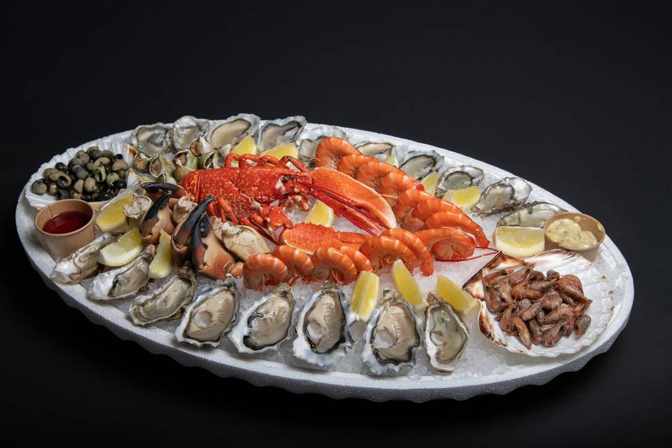 Mister Oyster