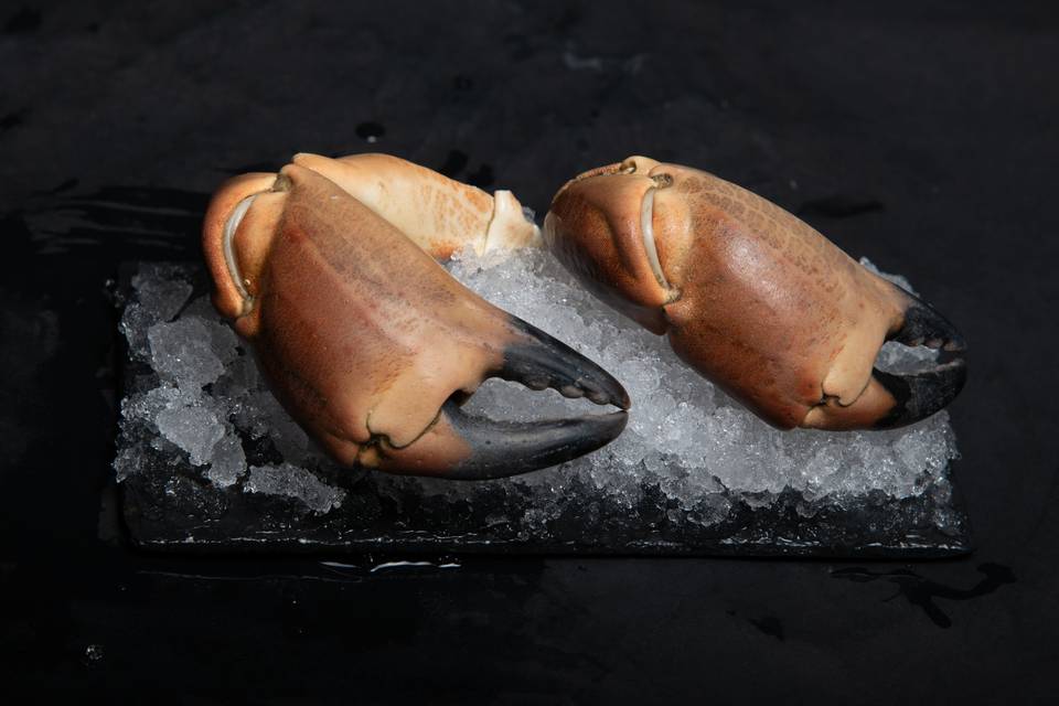 Pinces de Tourteau