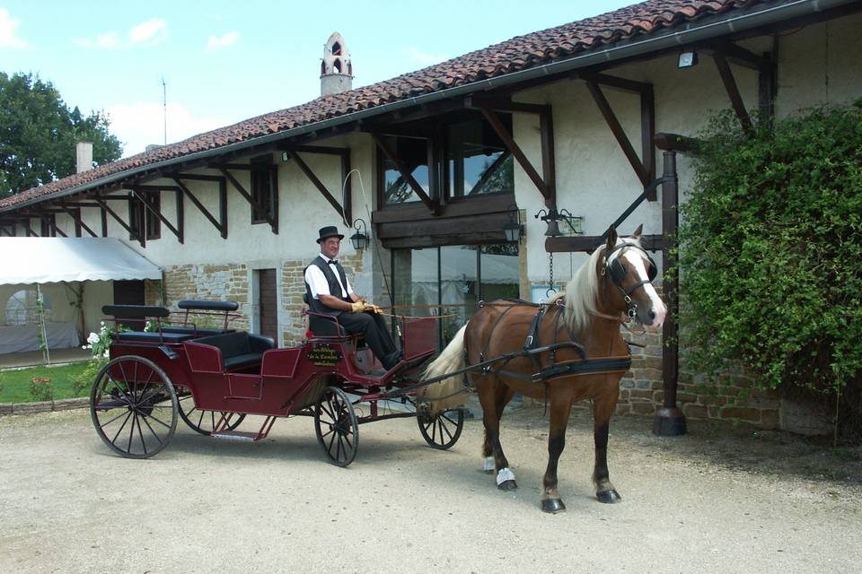 Domaine de la Rochère