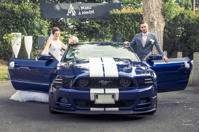 Mustang